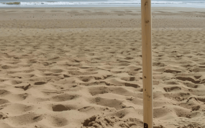 Arena para Deportes en Playa: Calidad y Rendimiento